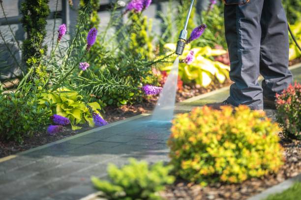 Best Deck and Patio Pressure Washing in Cameron, MO