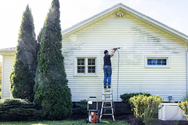 Best Gutter Cleaning and Brightening in Cameron, MO